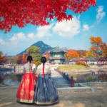 Two women with tradition Korean dresses facing a traditional building under a tree with red leaves.