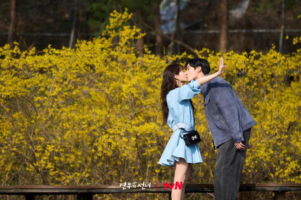 Promotional still from the Korean drama "Gyeonwoo and Seon-nyeo" (tvN). for the Head Over Heels K-Drama Review A young couple shares a romantic kiss outdoors on a wooden bridge or railing. The woman, wearing a light blue dress and carrying a small black crossbody bag, reaches up to kiss the man. He leans down toward her, dressed in a dark blue jacket and gray pants, with one hand raised playfully. Behind them, a vibrant backdrop of blooming yellow forsythia bushes fills the frame under bright sunlight, creating a cheerful, springtime atmosphere. 
